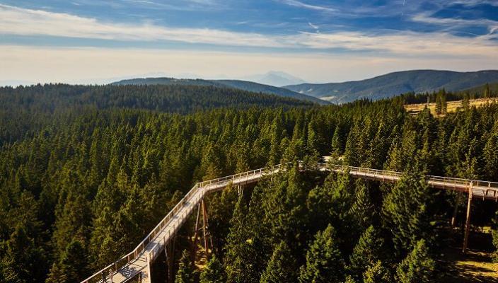 POHORJE 365: Destinacija Pohorje za ljubitelje narave