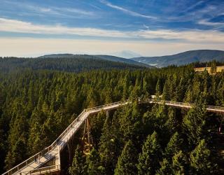 POHORJE 365: Destinacija Pohorje za ljubitelje narave