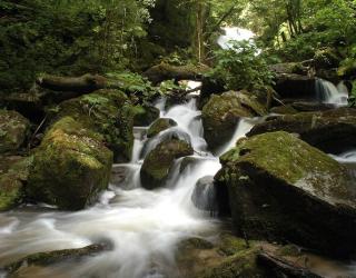 POHORJE 365: Aktivno, zeleno, zdravo in inovativno doživetje destinacije Pohorje