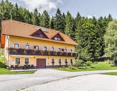 Apartmaji Planina pod Šumikom