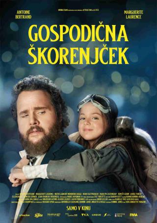 Film: Gospodična Škorenjček