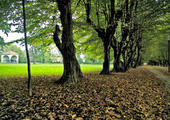 Grajski park - Foto: Arhiv zavoda za kulturo