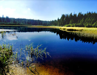 Črno jezero lake on Pohorje