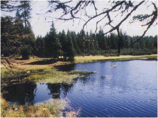 Velikonočni pohod na Črno jezero in Tri Kralje