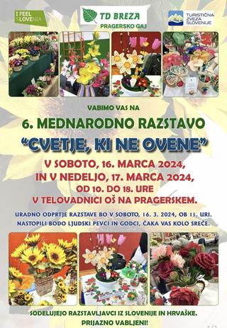 6.mednarodna razstava: 