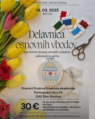 Delavnica osnovnih vbodov