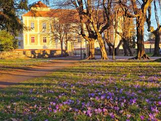 Slovenska Bistrica