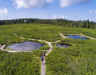 POHORJE 365: Top aktivnosti za družine v destinaciji Rogla-Pohorje